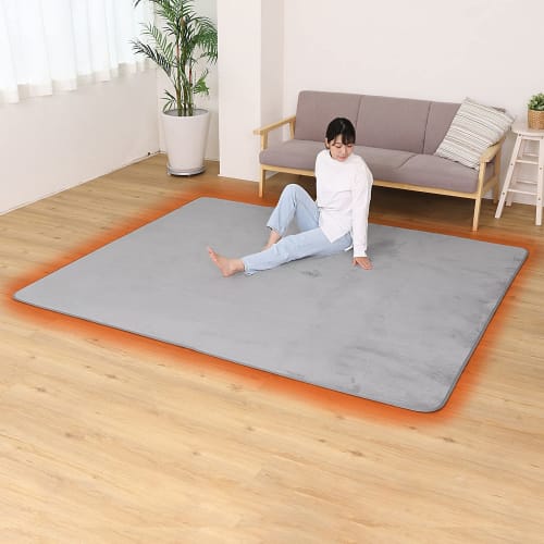 Astro Rug, Light Gray, 185 X 240 Cm (approximately 3 Tatami Mats), Washable, Warm Carpet, Moisture-Wicking, Heat-Generating, Antibacterial, Odor-Resis