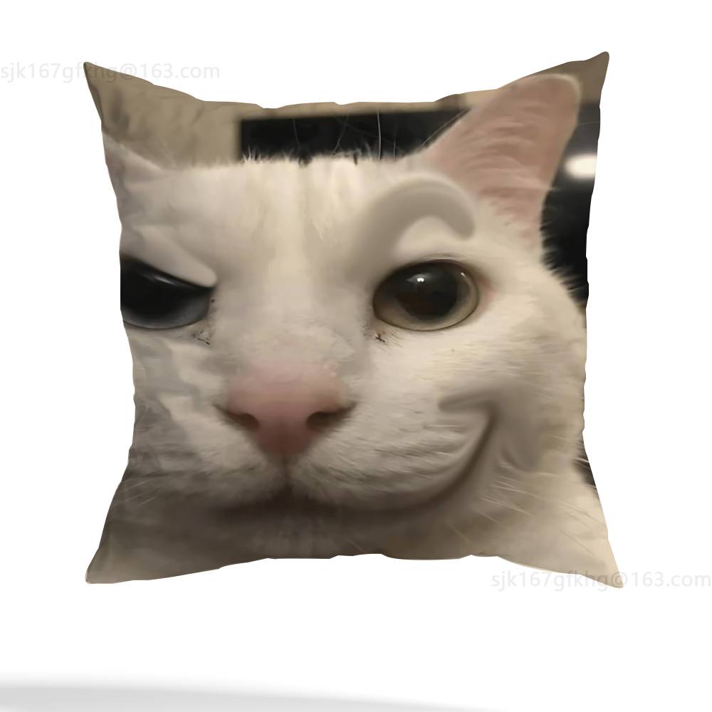 Funny Cat Meme Pillow Case Pillow Case Living Room Sofa Cushion Cover Suitable For Home Bedroom Room Decoration