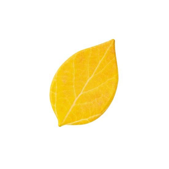 Leaf-Shaped Sticky Notepads Removable Memo Pads Paper Sticker Pads Anti-Forgetting Reminder Note for Home Wall Photo DIY Decoration