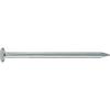 TRUSCO Nail Stainless Steel (Flat Head) 4.20 X 100 5 Pieces ST8100F