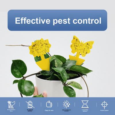 Huishoud en opruiming – Tegen insecten