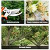 3.0 Stainless steel pruning and cutting fruit tree thick branch scissors Household gardening scissors for cutting garden branche
