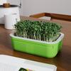 Bean Sprout Pot - A Household Non-soil Cultivation Tray for Growing Wheat Seedlings and Sprouts - Seedling Pot for Vegetable Seedling Cultivation
