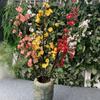 Chimonanthus Praecox Branch Artificial Flower Decoration Living Garden Room