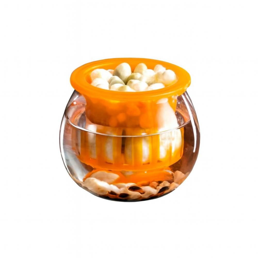 

Transparent Flower Pot Mini Fish Tank Creative Self Watering Planter Pots Tabletop