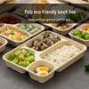 Dingle Biodegradable Pulp Compartment Meal Boxes