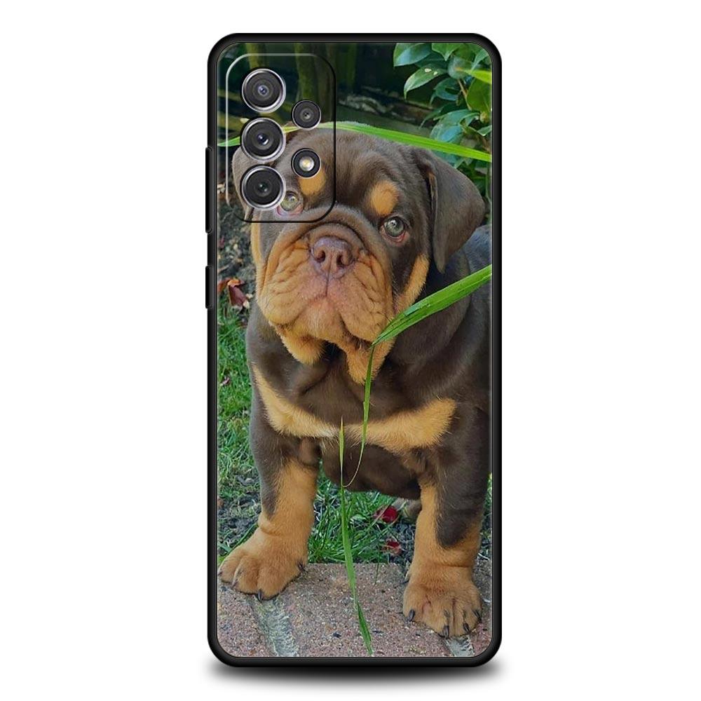 Pit Bull Lovely Pet Dog Pitbull Phone Case For Samsung A51 A71 A21S A12 A11 A31 A41 A03 A52 A32 A22 A13 A23 A33 A53 A73 5G Cover