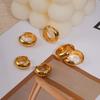 Women’s High-End Metallic Gloss Hoop Earrings, Luxurious Niche Design, 2024 Trendy Ear Hoops