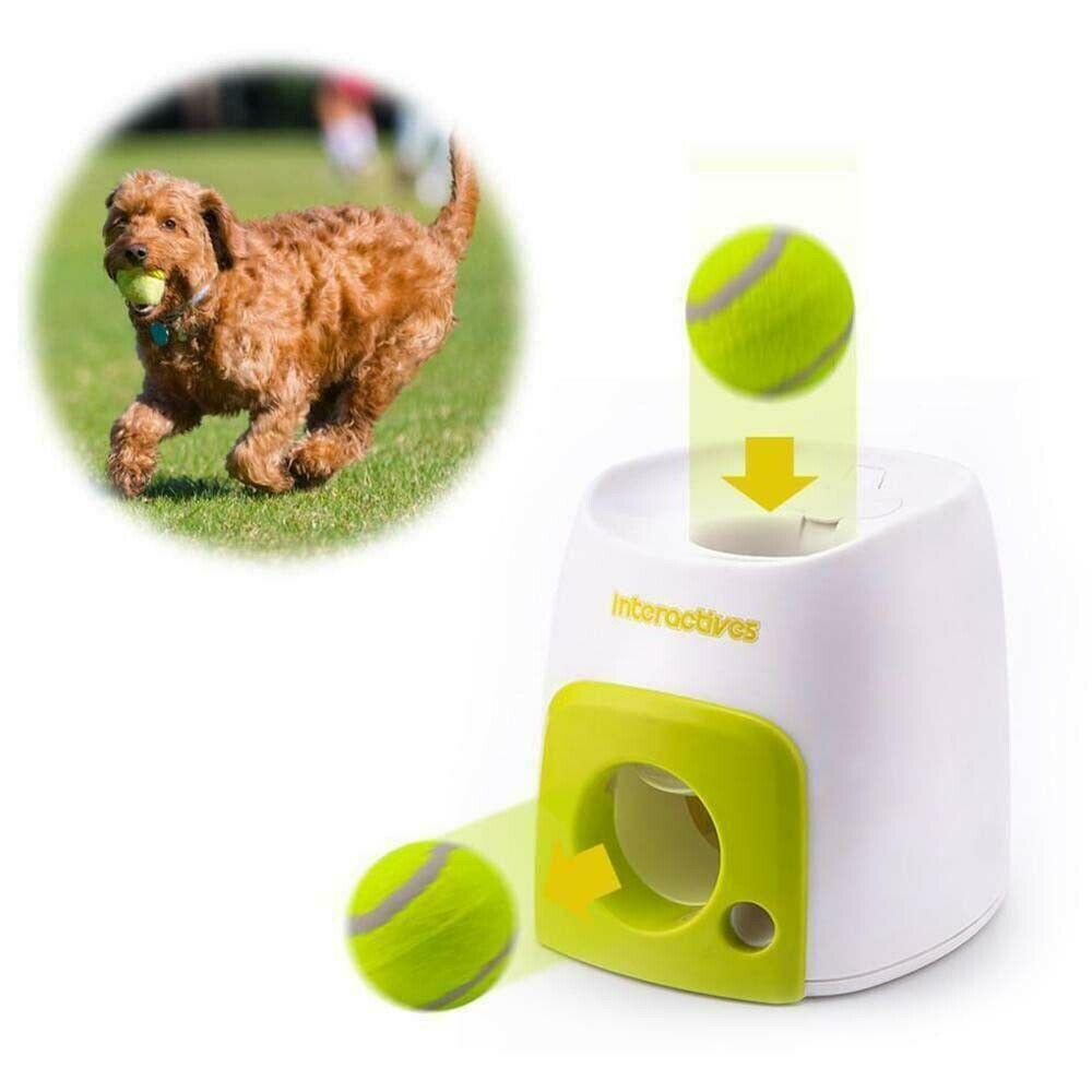 dog throwing machine