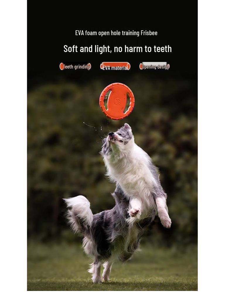 Bite-Resistant Elastic Frisbee Tug Toy for Medium and Small Dogs - Interactive Training for Golden Retrievers and Border Collies.