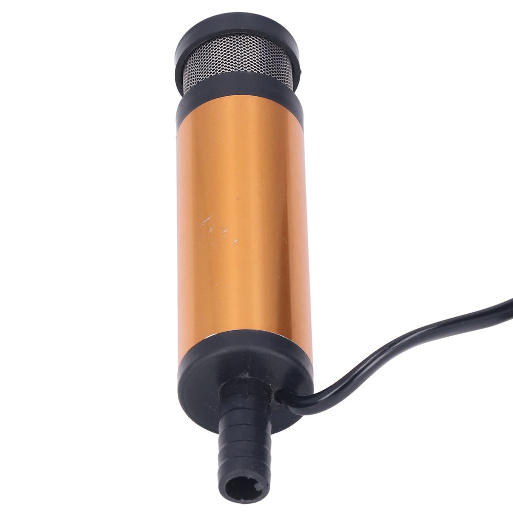 Oil Pump Electric Mini Portable with Filter for Water Fuel Diesel Transfer DC 12V 38mm