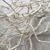 Artificial Branches Faux White Curly Willow Branch Decorative Plant Twigs for Flower Arrangement Vase Home Wedding Centerpieces
