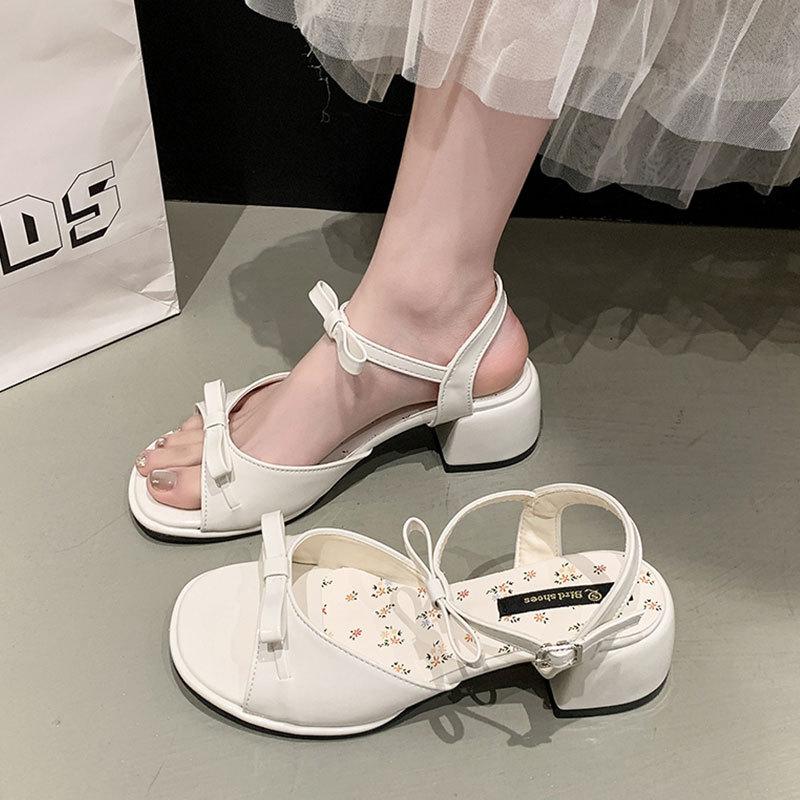 With skirt versatile fairy style sandals women's 2025 new summer small French thick high-heeled sandals women