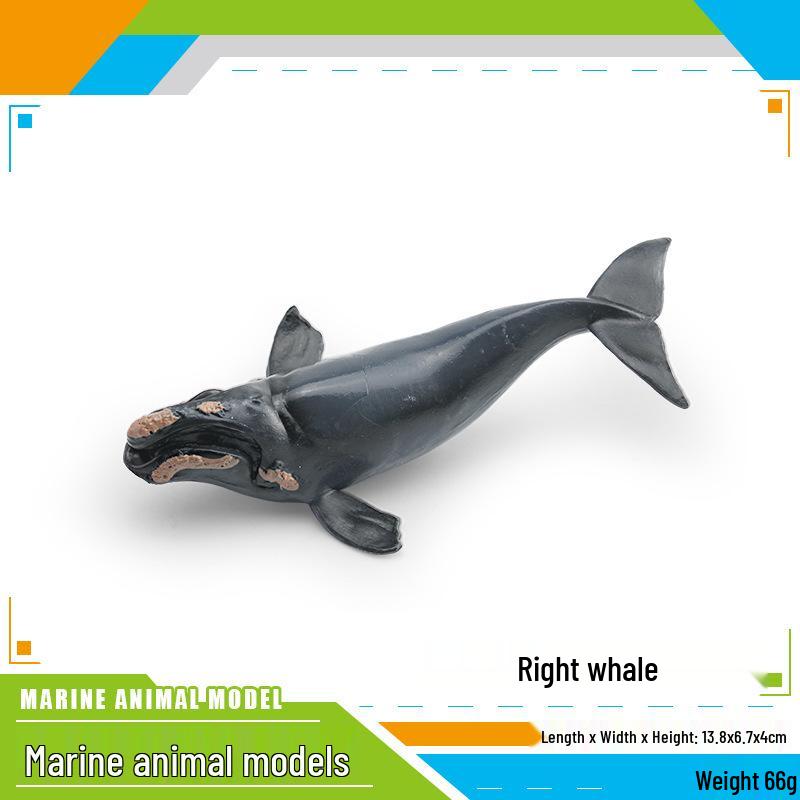 Children's Marine Life Humpback Whale Model Toy Simulation