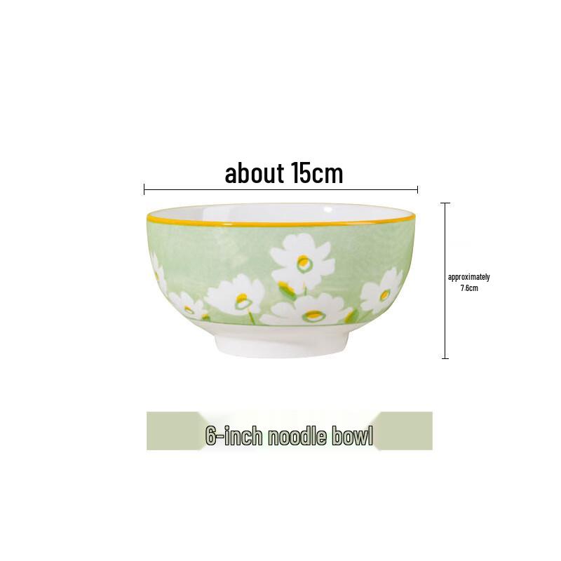 ZISIZ Ceramic Noodle Bowl Set