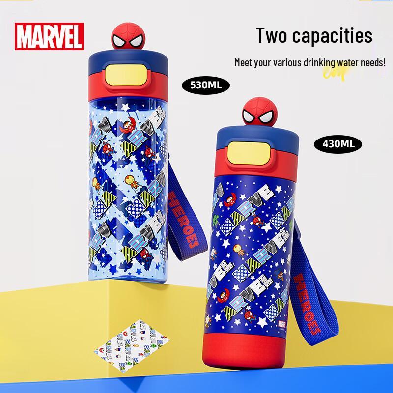 Disney Kids Insulated Water Bottles & Sippy Cups