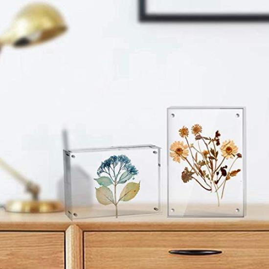 Lapeno Acrylic Photo Gift 2L Transparent Postcard Poster Display Perfect for New and Christmas Frame, Magnetic, Packaging, Size, Double-Sided Clear,