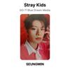 Stray Kids DO IT Blue Dream Media Official Photocard