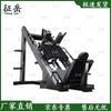Zhengyue Multi-functional Leg Press & Hack Squat Machine