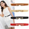 1PC Cintura sottile con fibbia in oro per donna Cintura elastica vintage primavera estate Cintura decorativa per abito alla moda