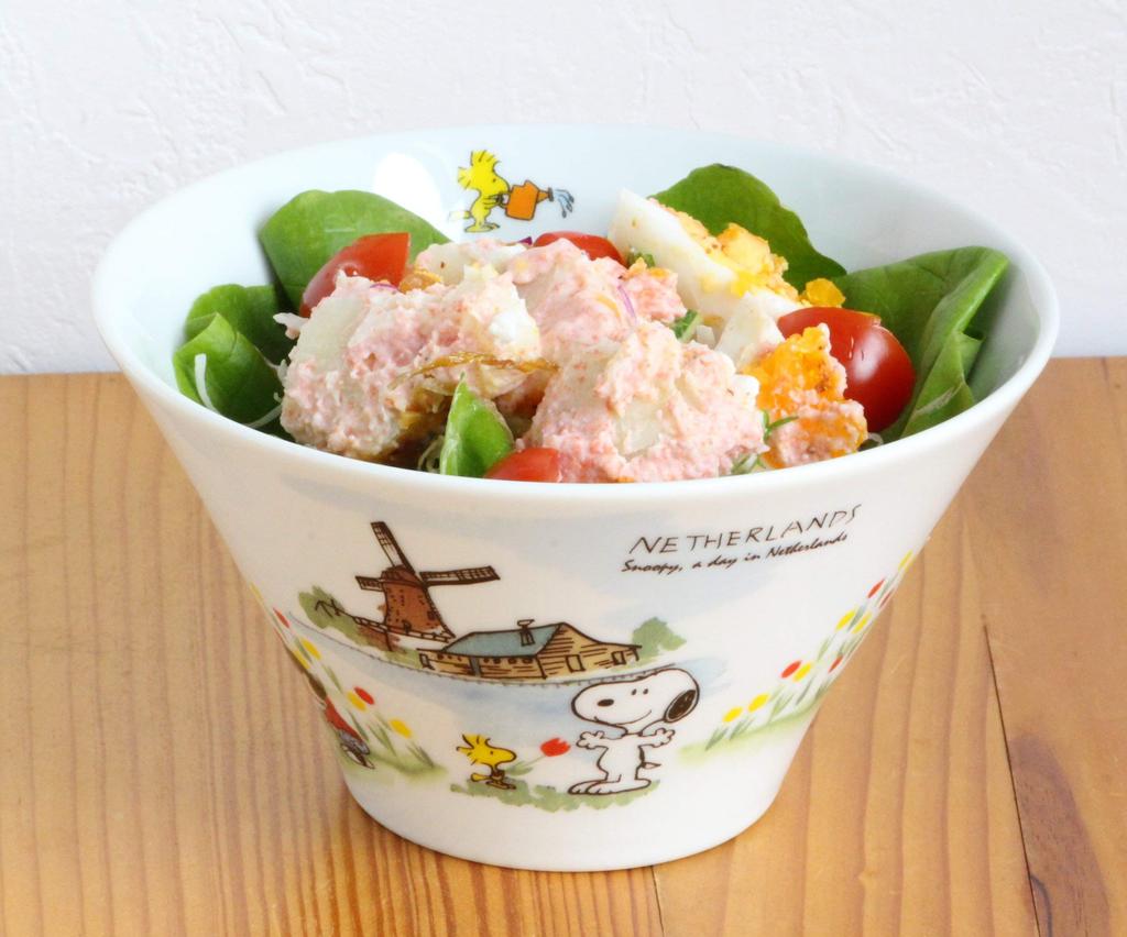 PEANUTS Snoopy World Travel 700ml Multi-Bowl, Holland, White,