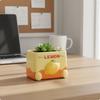 Planter Creative Design Fruit Pot Unique for House Gift Strawberry
