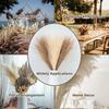 Practical Pampas Grass Boho Decor Flower Fake Plant Reed Simulated Wedding Party Home Decoration Artificial Flowers