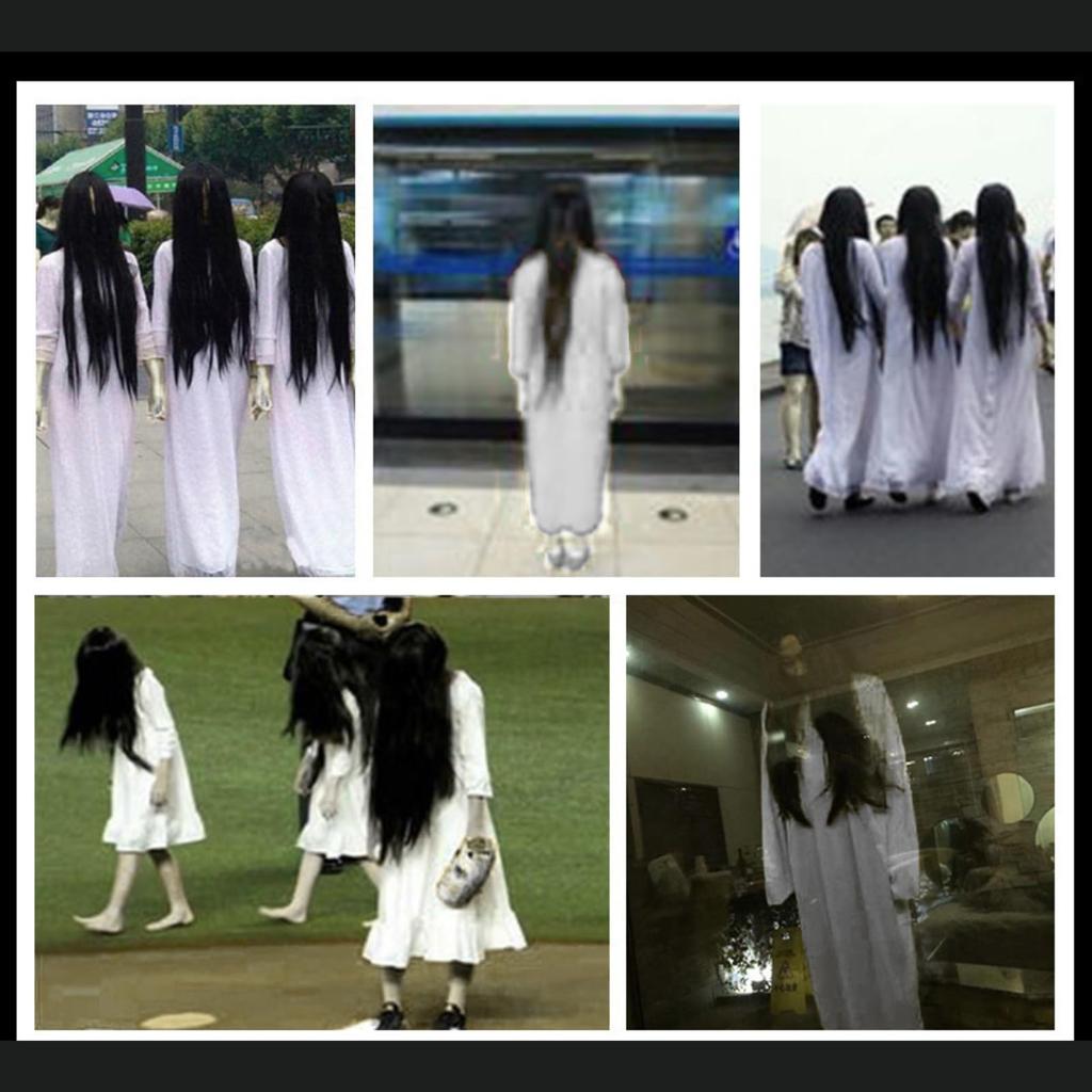TUISKU Ghost Costume, Cosplay Costume, Halloween, Haunted House, Adult Wig and Robe Set (L)