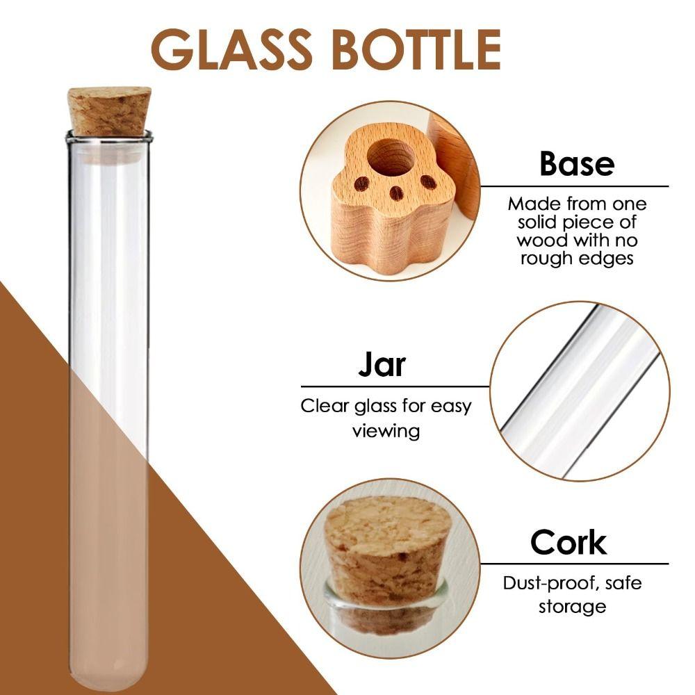 Mini Cat Whisker Jar Paw-Shaped Wood Base Glass Vase Cat Whisker Holder Transparent Memorial Gift Pet Hair Whisker Container