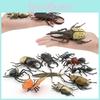 Insect Animal Model Pvc Collection For Educational Display And Collection Enthusiasts