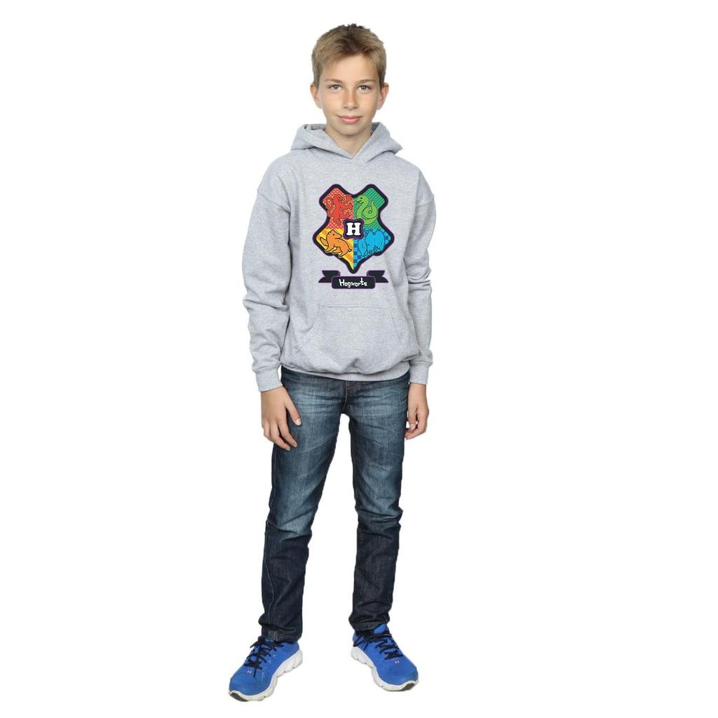 HARRY POTTER Boys Hogwarts Junior Crest Hoodie