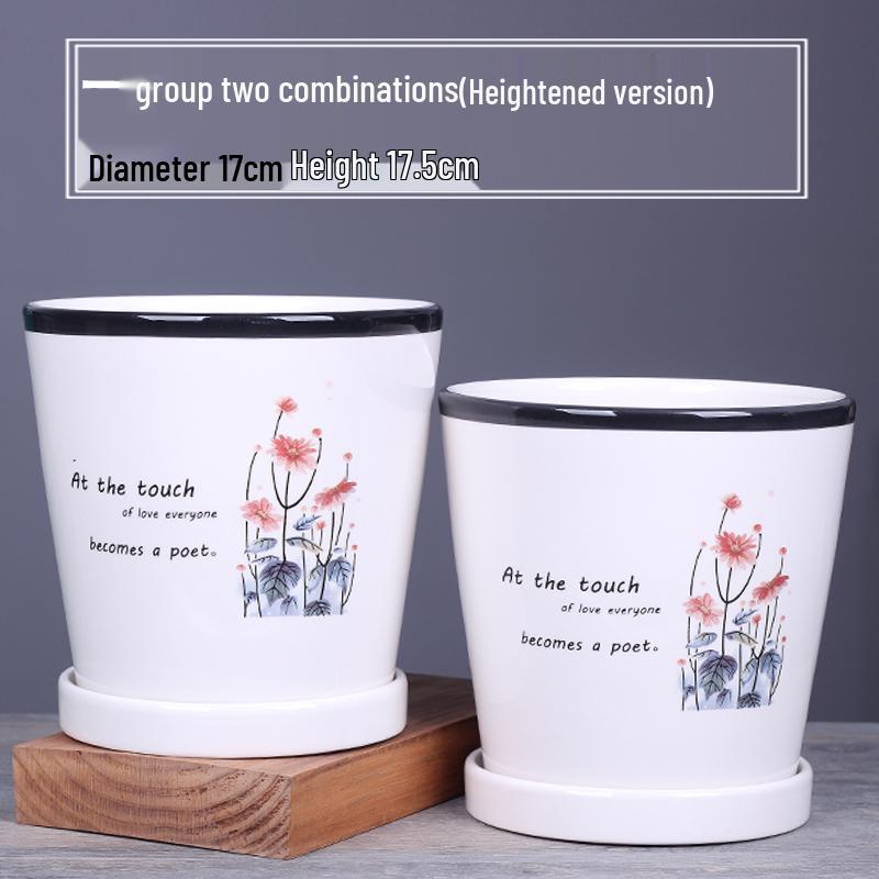 2025 Large Ceramic Flower Pot with Tray for Balcony & Living Room - Orchid & Succulent Album Style