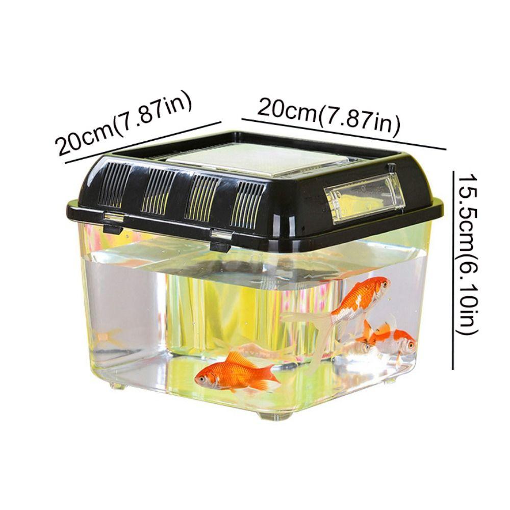 Plastic Fish Bowl Handheld Reptile Carrier Peractical Portable Fish Tank  Aquarium