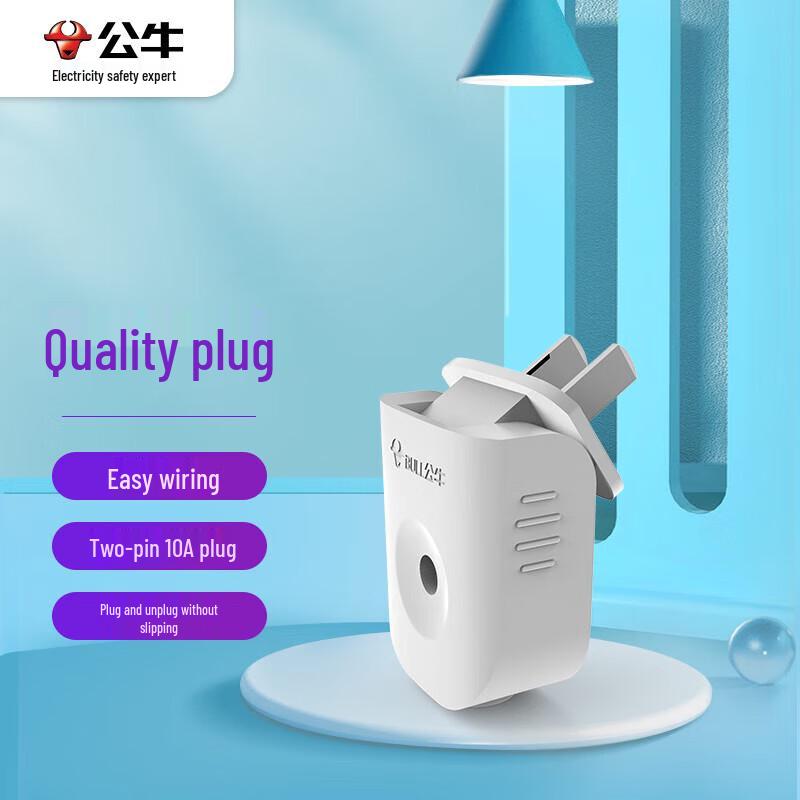BULL 10A Two-Pin Rotating Power Plug CN plug (adapter included)
