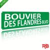 2D Flat - [Enable ] 2D Flat, 2D Plane - Retro "A Dog of Flanders" Metal Sign - 40.64X10.16 cm UV Printed, Green And White French Road Sign Wall Art, f