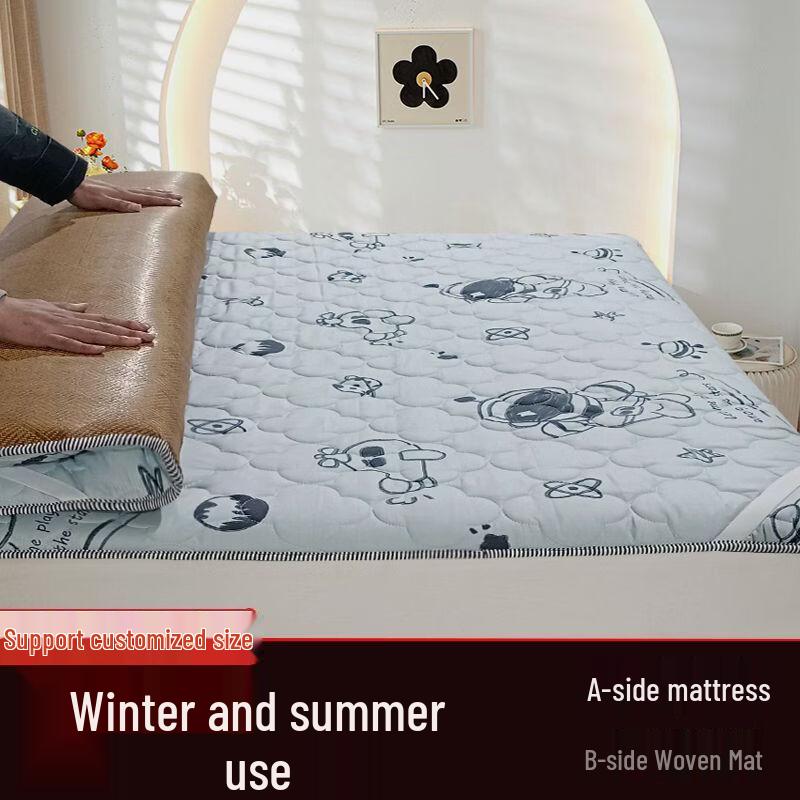 

Handun Dual-Use Single Student Mattress Mat
