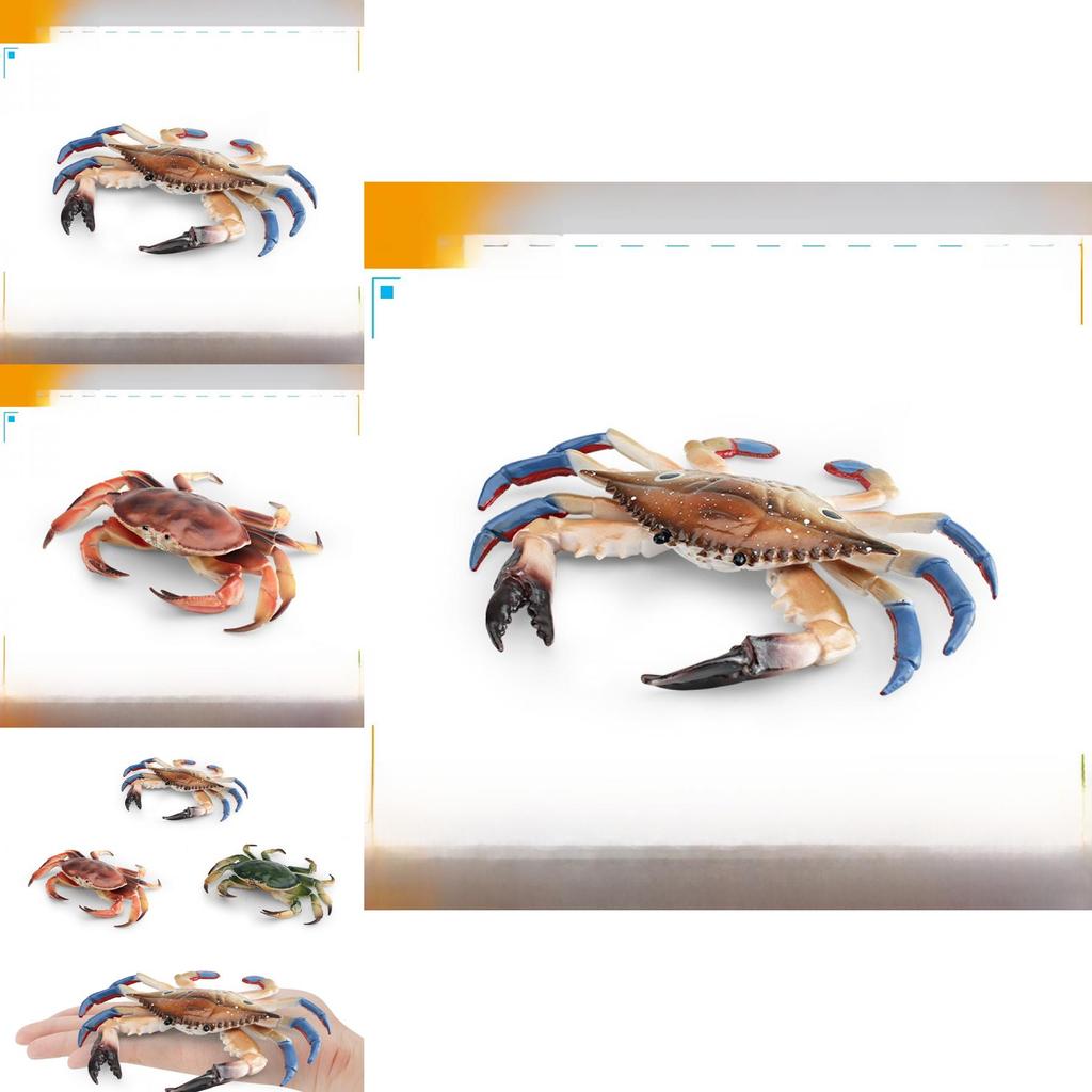Marine Life Crab Replica For Kids Learning Aquarium Decoration Pvc Collectible