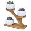 Unique Tree Branch Shaped Succulent Pot Stand Wooden Desktop Succulent Plant Pots Holder Flowerpots for Windowsill Tabletop Decor