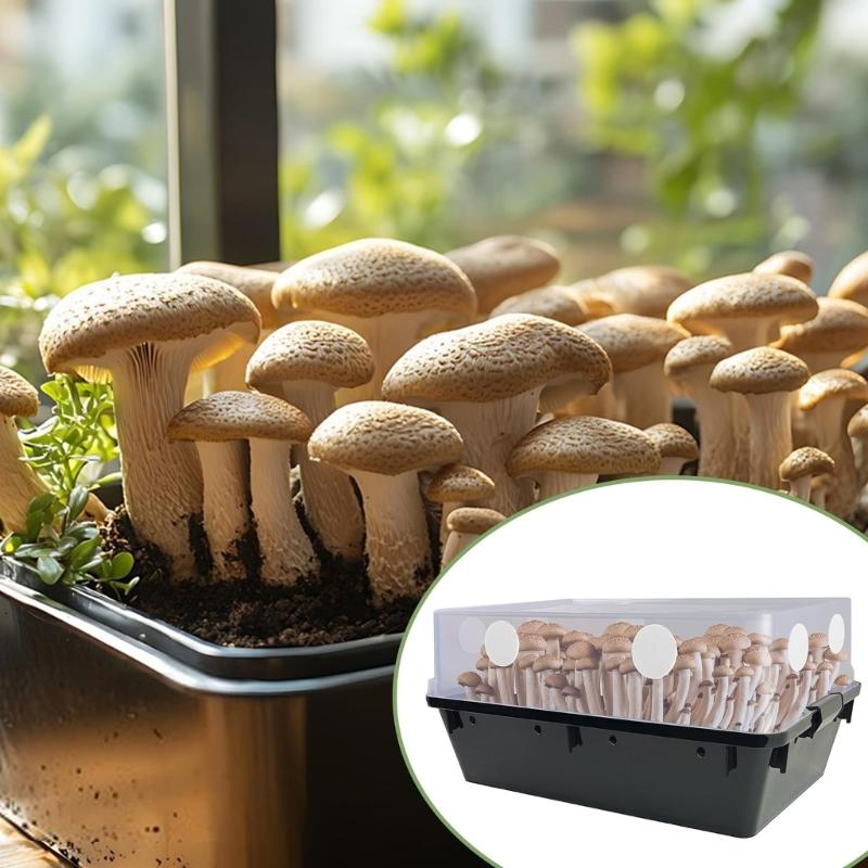 Reusable 24PCS Mushroom Growing Filter Pads 2mm Thick Cotton Materials Monotub Substrate Mycelium Airflow Optimization