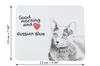 Russian Blue - Art-Dog markasından baskılı mouse pad, kişiselleştirilmiş kedi pad, ofis çalışanı için benzersiz bir alet