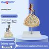 Lung Lobule Magnified Simulation Model – Visceral Anatomy Teaching Instrument