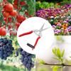 Garden Pruner Shears Steel Blade Pruning Scissors for Plant Leaf Bonsai Fruit Trees Flowers Branches Trimmer Garden Supplies