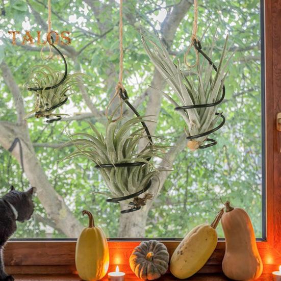 6 Pcs Air Plant Holder Metal Hanging Tillandsia Container Adjustable Swirl Air Plant Holder for Home Office Balcony Garden Decor