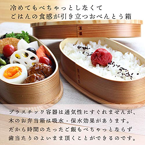 Fujishiro Kogei Magewappa Oval Lunch Box, Cat Design, Finished In Japan (470ml (Natural) Cat Design)