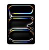 iPad Pro 13 Inches Wi-Fi 2TB Standard Glass - Silver