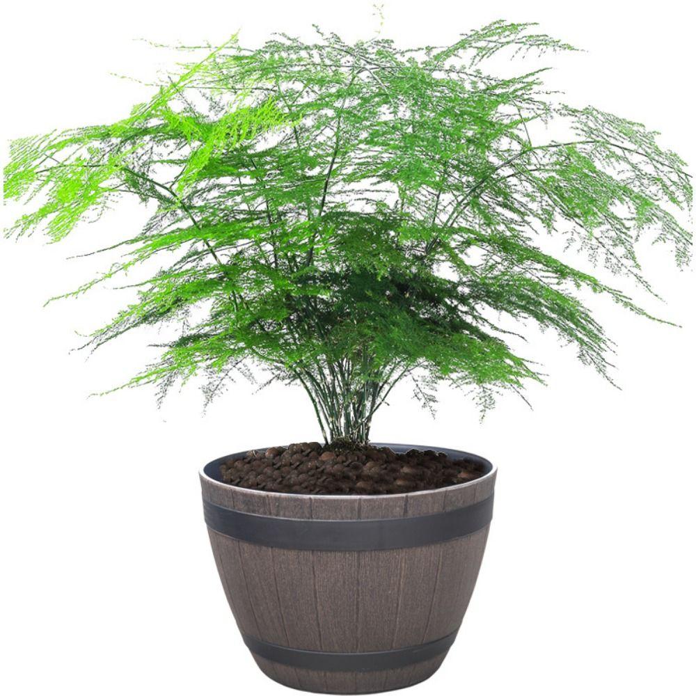 Breathable Round Flower Pot No Deformation Flower Bucket Ornament Simulation Wood Barrels  Yard