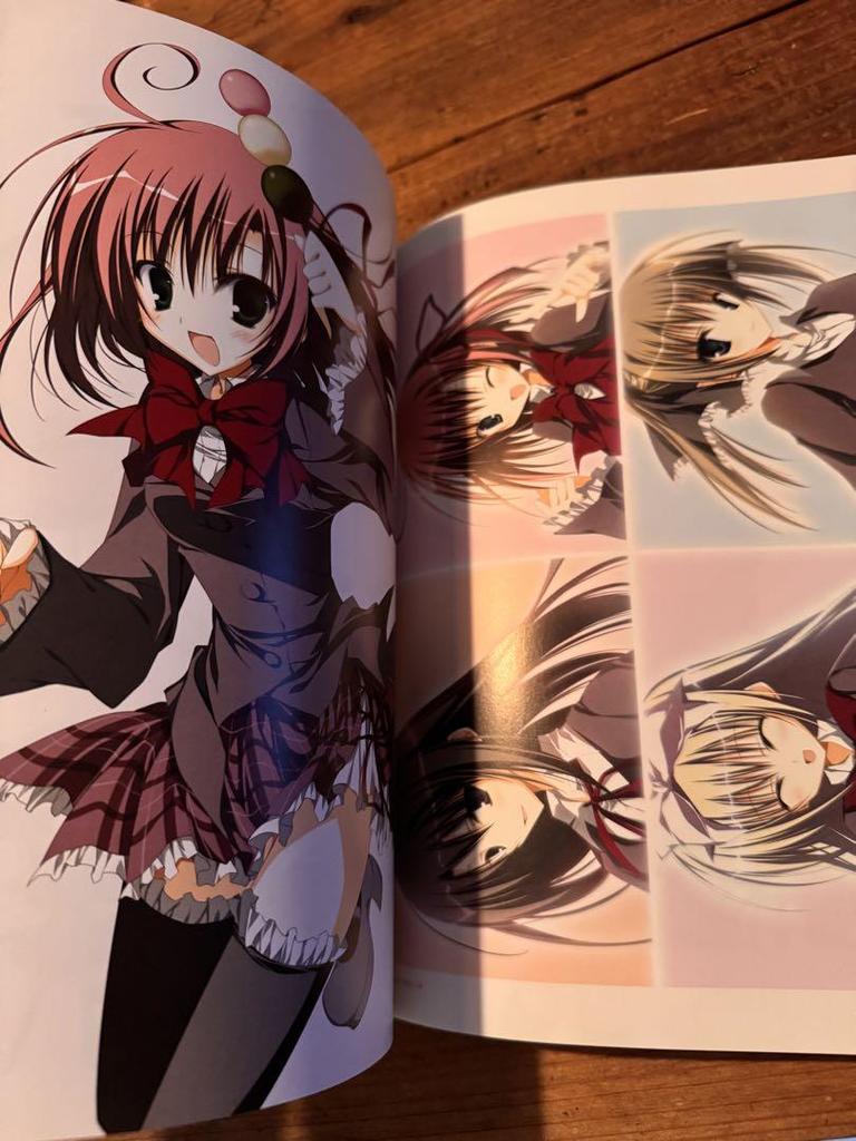 [USED] Rare First Edition with Obi, Seitokai No Ichizon, Inugami Akira Art Collection, Illustration Collection, Anime Game Poster