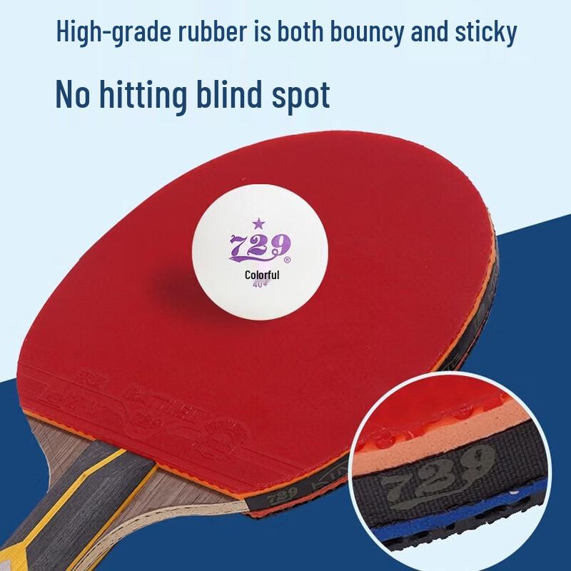729 Professional Table Tennis Racket