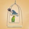 Parrot Wooden Perch Safe Healthy Training Stand Hanging Swing Toys Bird Supplies To Relieve Boredom