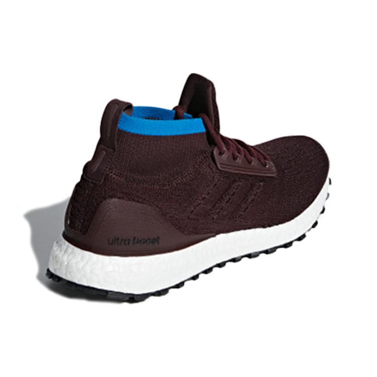 Adidas Ultra Boost All Terrain Night Red Bright Blue CM8255